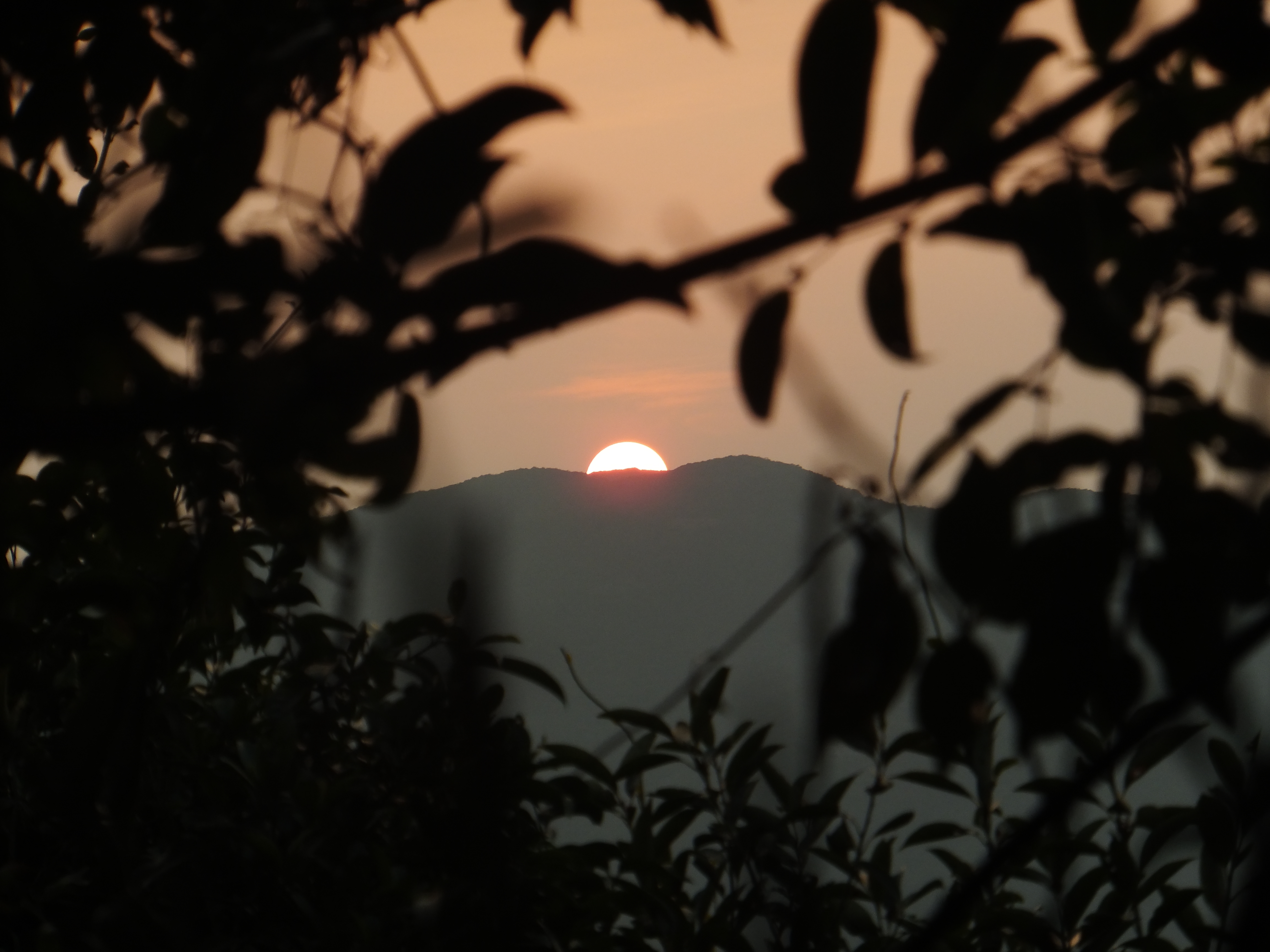 13120905DSCF4153